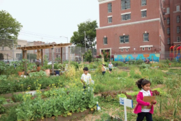 Edible Schoolyard