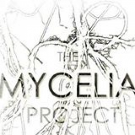 the mycelia project