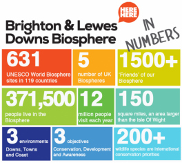 The Brighton & Lewes Downs Biosphere